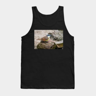 Great Kiskadee On The Rocks Tank Top